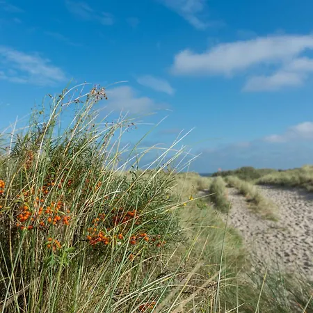 Deichblick Suederloog 40 Whg 6 Spiekeroog