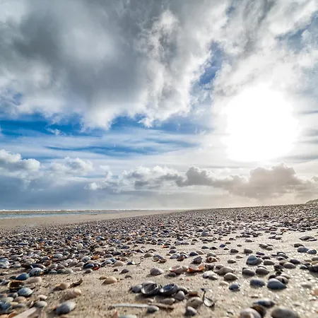 Apartamento Deichblick Suederloog 40 Whg 6 *