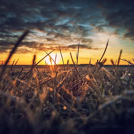 Deichblick Suederloog 40 Whg 6