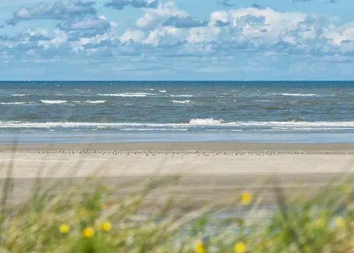 Deichblick Suederloog 40 Whg 6 Шпикерог