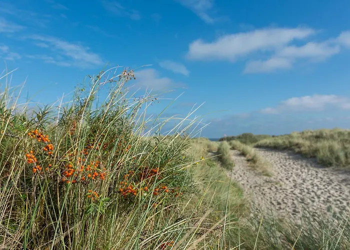 Deichblick Suederloog 40 Whg 6 Шпикерог