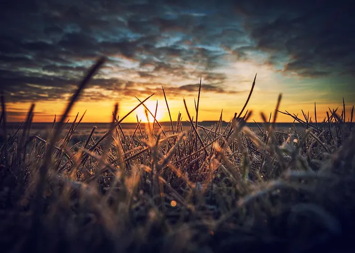 Deichblick Suederloog 40 Whg 6